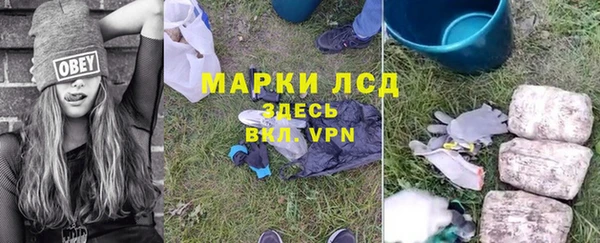 хмурый Вяземский